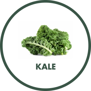 Kale