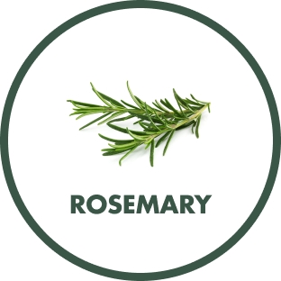 Rosemary