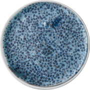 Blue Chia Pudding
