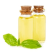 Holy Basil Oil