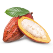 Raw Cacao