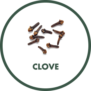 Clove