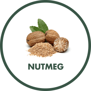 Nutmeg
