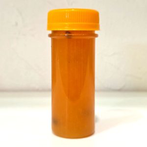 Papaya-Gut-Shot (1)
