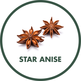 Star Anise