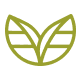 Superfood