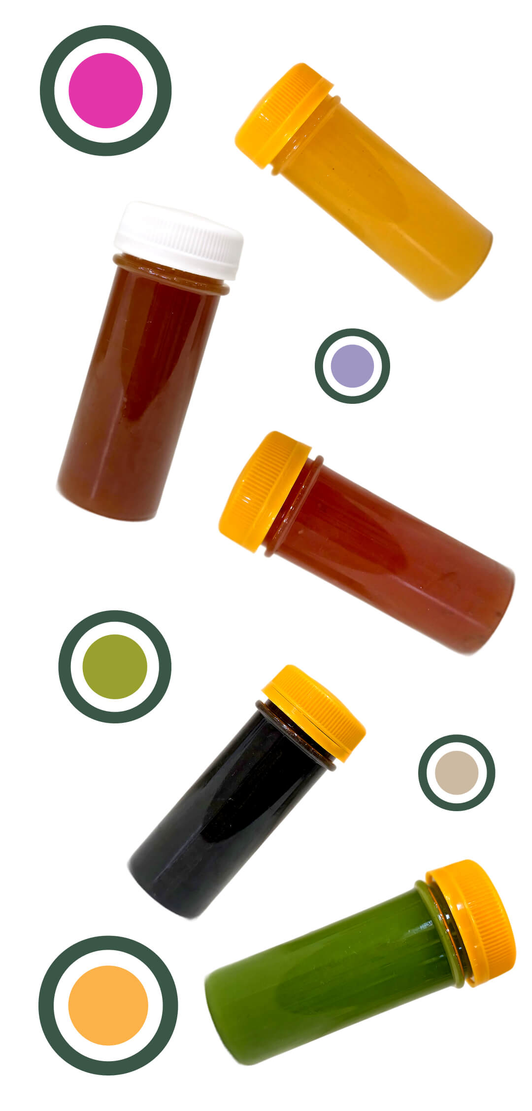 Wellness Shots